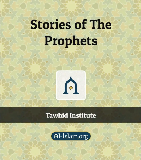 Islamic Story Books for Kids 1 image 152