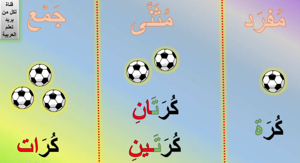 Arabic Grammar For Kids 3 image 159