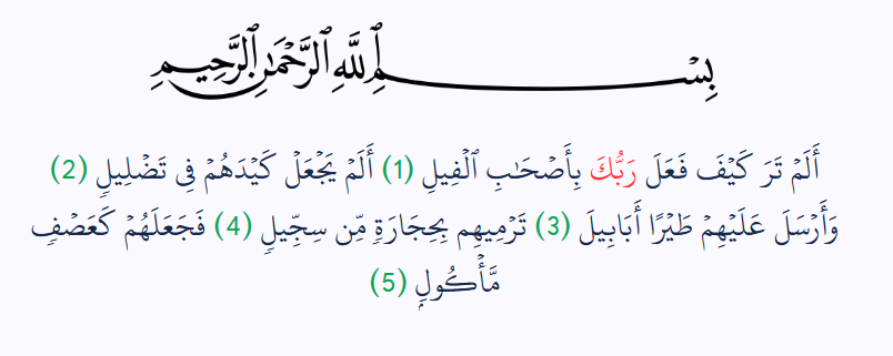 image 41